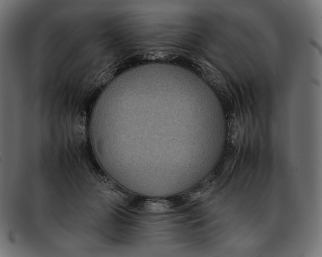 X0000092250510200710121302