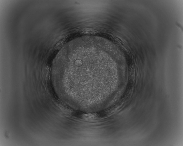 X0000092250511200710121302