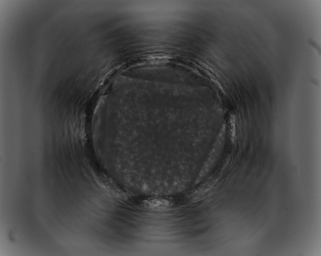 X0000092250512200710121302