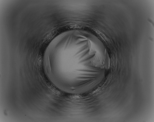 X0000092250513200710121302