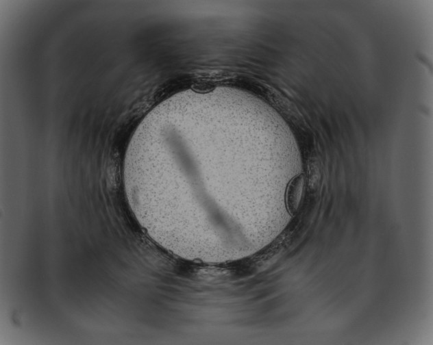 X0000092250515200710121302