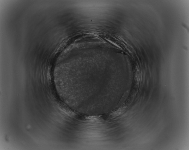 X0000092250516200710121302