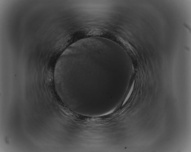 X0000092250517200710121302