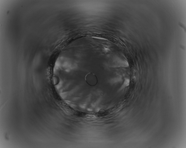 X0000092250519200710121302