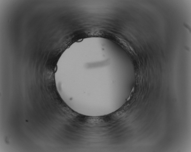 X0000092250521200710121302