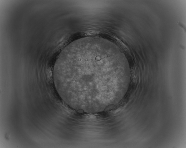 X0000092250523200710121302