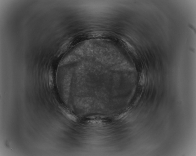 X0000092250524200710121302