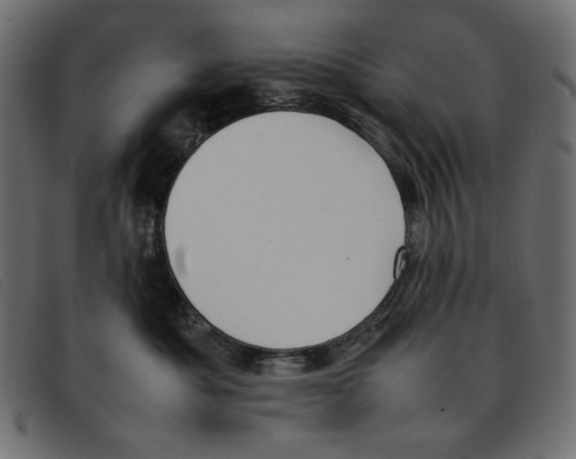 X0000092250525200710121302