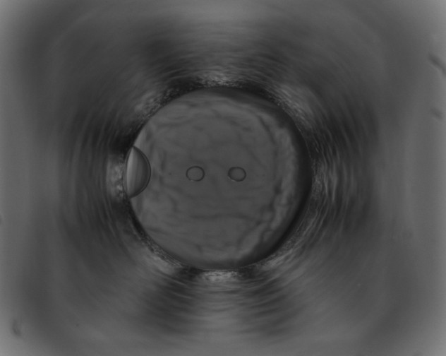 X0000092250526200710121302