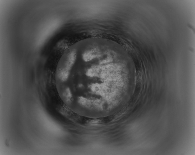 X0000092250527200710121302