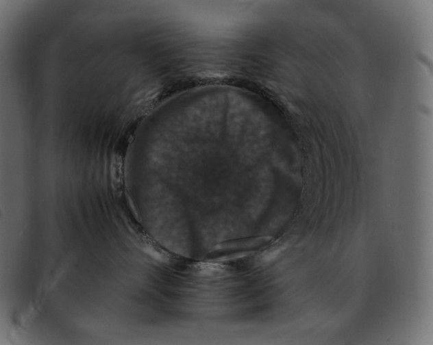 X0000092250528200710121301