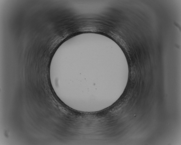 X0000092250529200710121301
