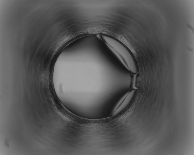 X0000092250530200710121301