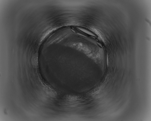 X0000092250531200710121301