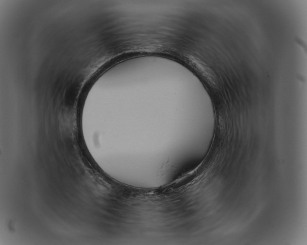 X0000092250532200710121301