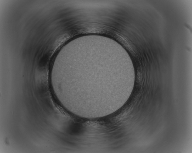 X0000092250534200710121301
