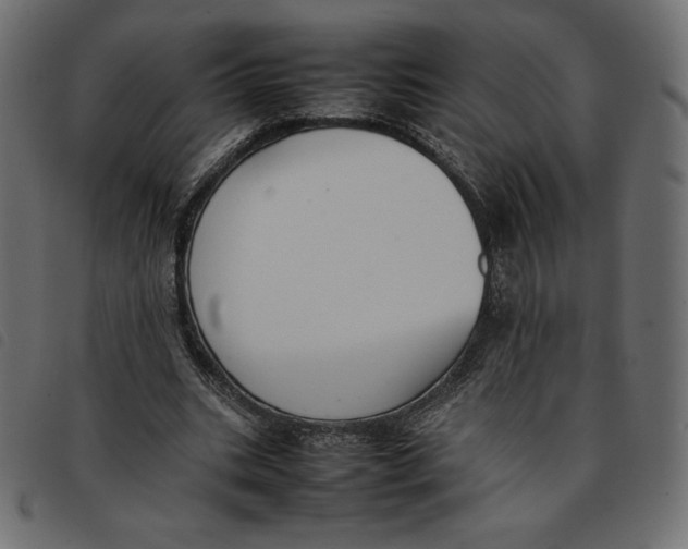 X0000092250535200710121301