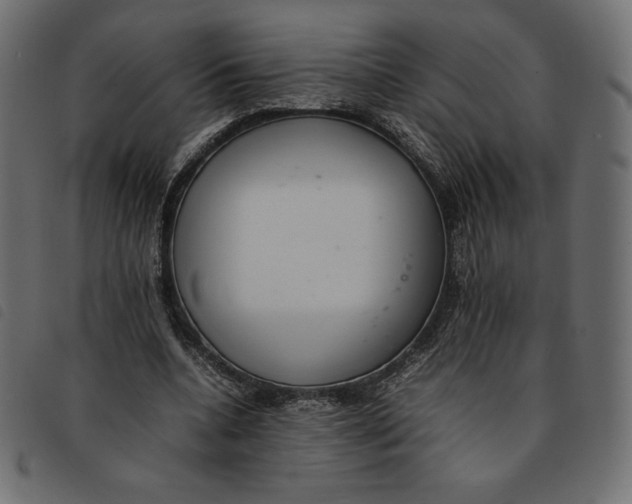 X0000092250536200710121301