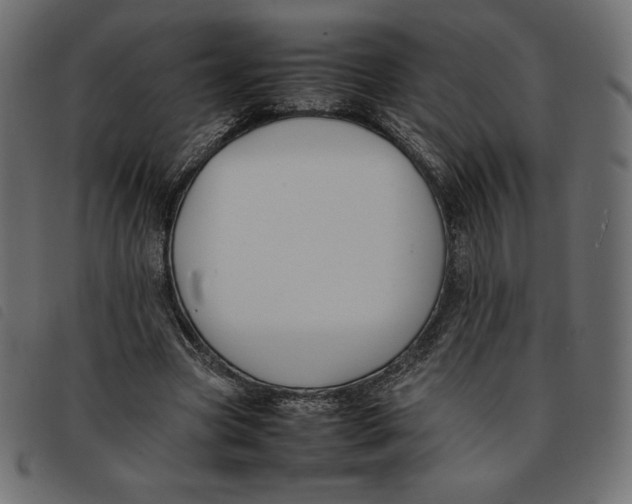 X0000092250537200710121301