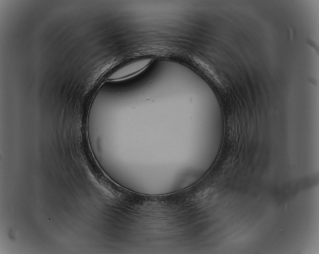 X0000092250538200710121301