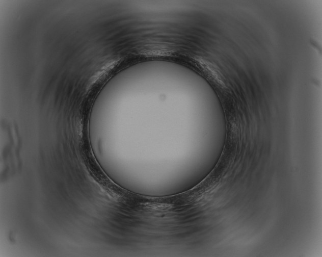 X0000092250539200710121301