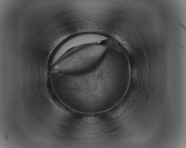 X0000092250540200710121301