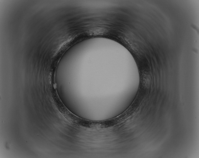X0000092250543200710121301