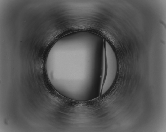 X0000092250544200710121301