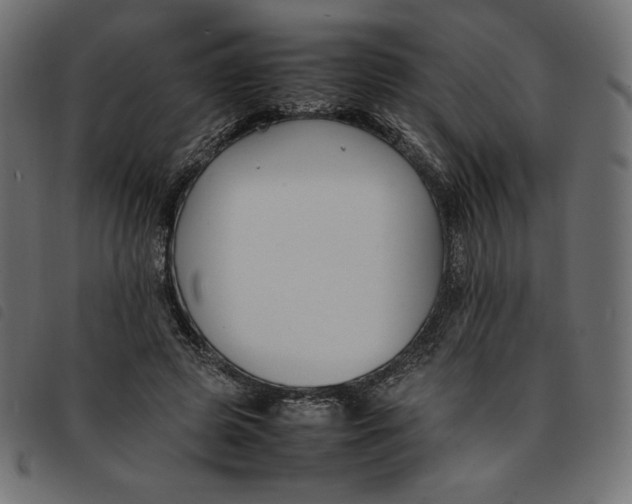 X0000092250545200710121301