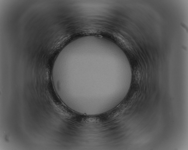 X0000092250546200710121301