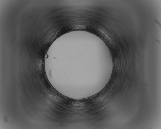 X0000092250549200710121301