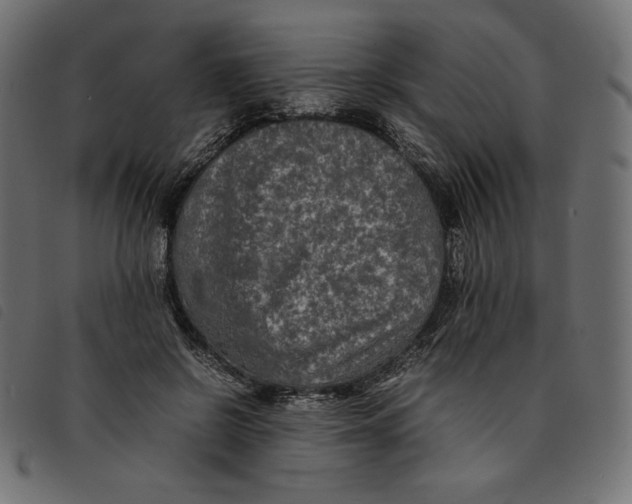 X0000092250550200710121301