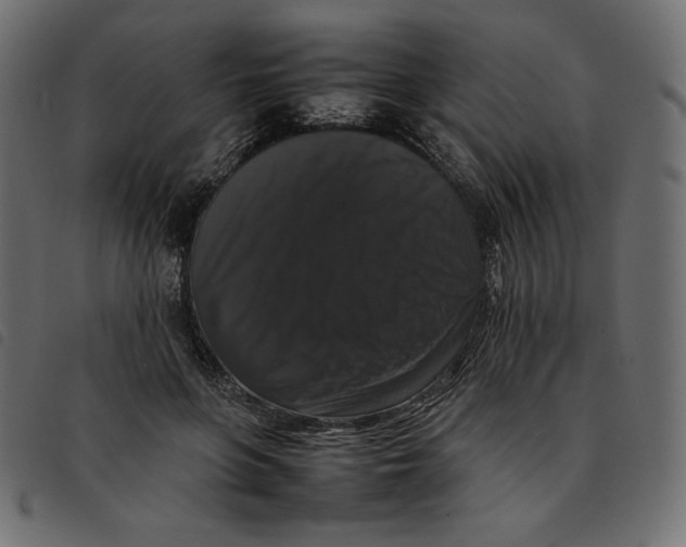 X0000092250551200710121301