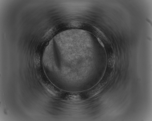 X0000092250552200710121301