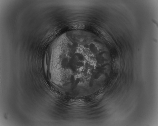 X0000092250553200710121301