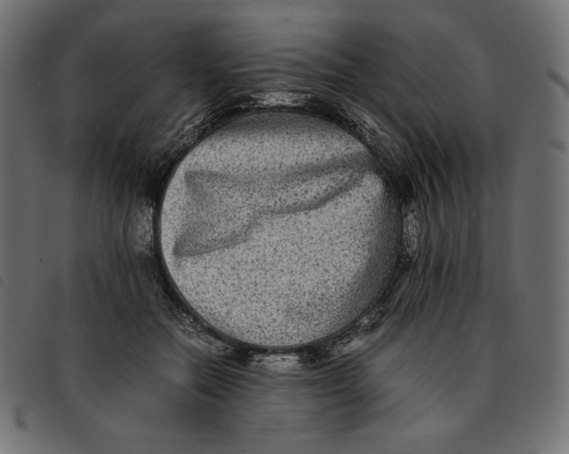 X0000092250554200710121301