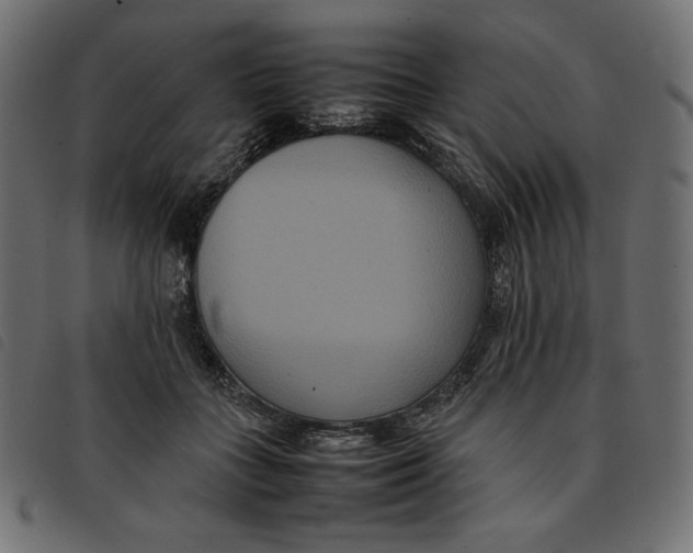 X0000092250555200710121301