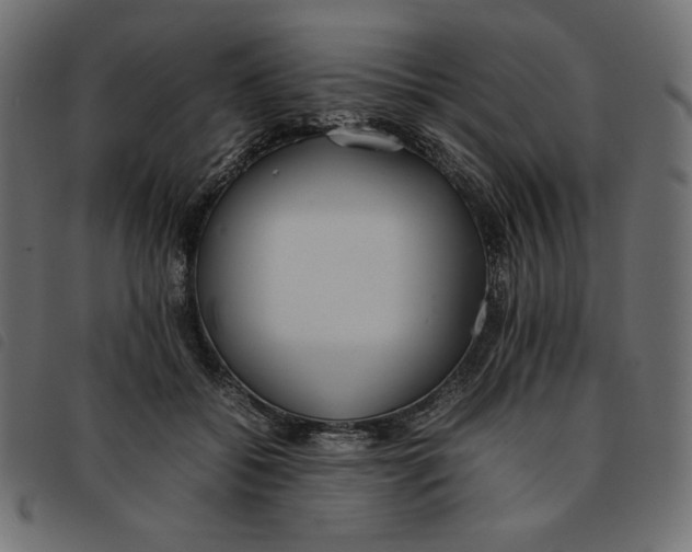 X0000092250556200710121301