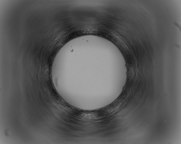 X0000092250557200710121301