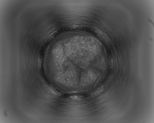 X0000092250558200710121301