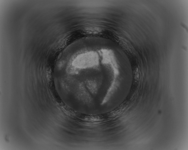 X0000092250559200710121301