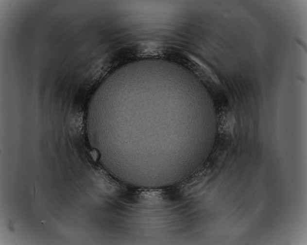 X0000092250560200710121301