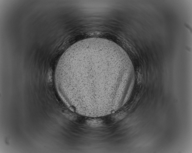 X0000092250561200710121301