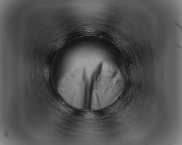 X0000092250562200710121301