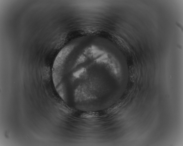 X0000092250563200710121301