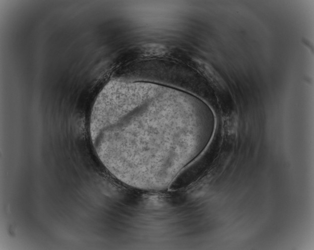 X0000092250564200710121301