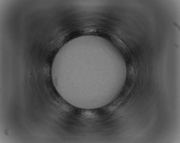 X0000092250565200710121301