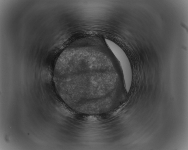 X0000092250566200710121301