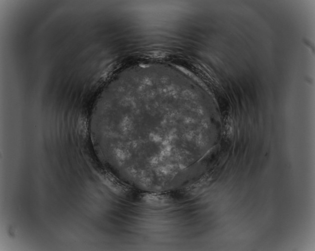 X0000092250568200710121301