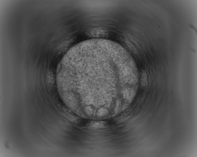 X0000092250569200710121301